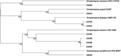 Genomes and secondary metabolomes of Streptomyces spp. isolated from Leontopodium nivale ssp. alpinum